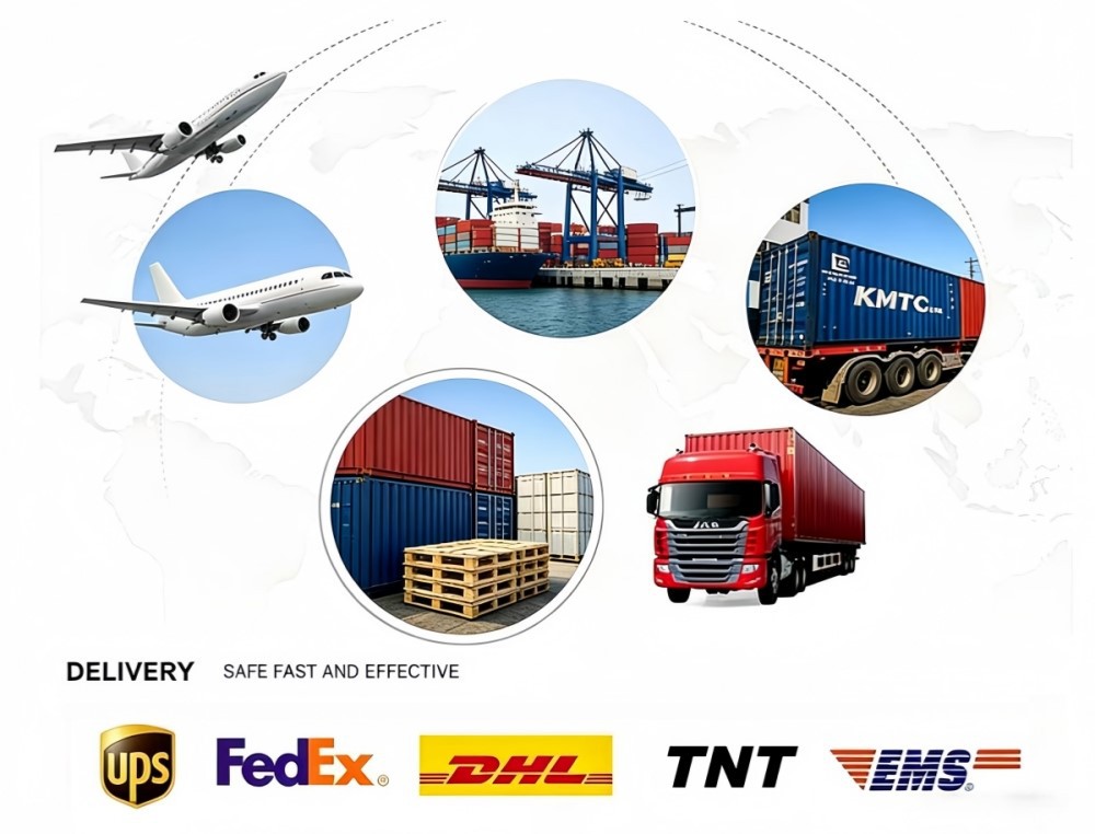 Transportation Transportation